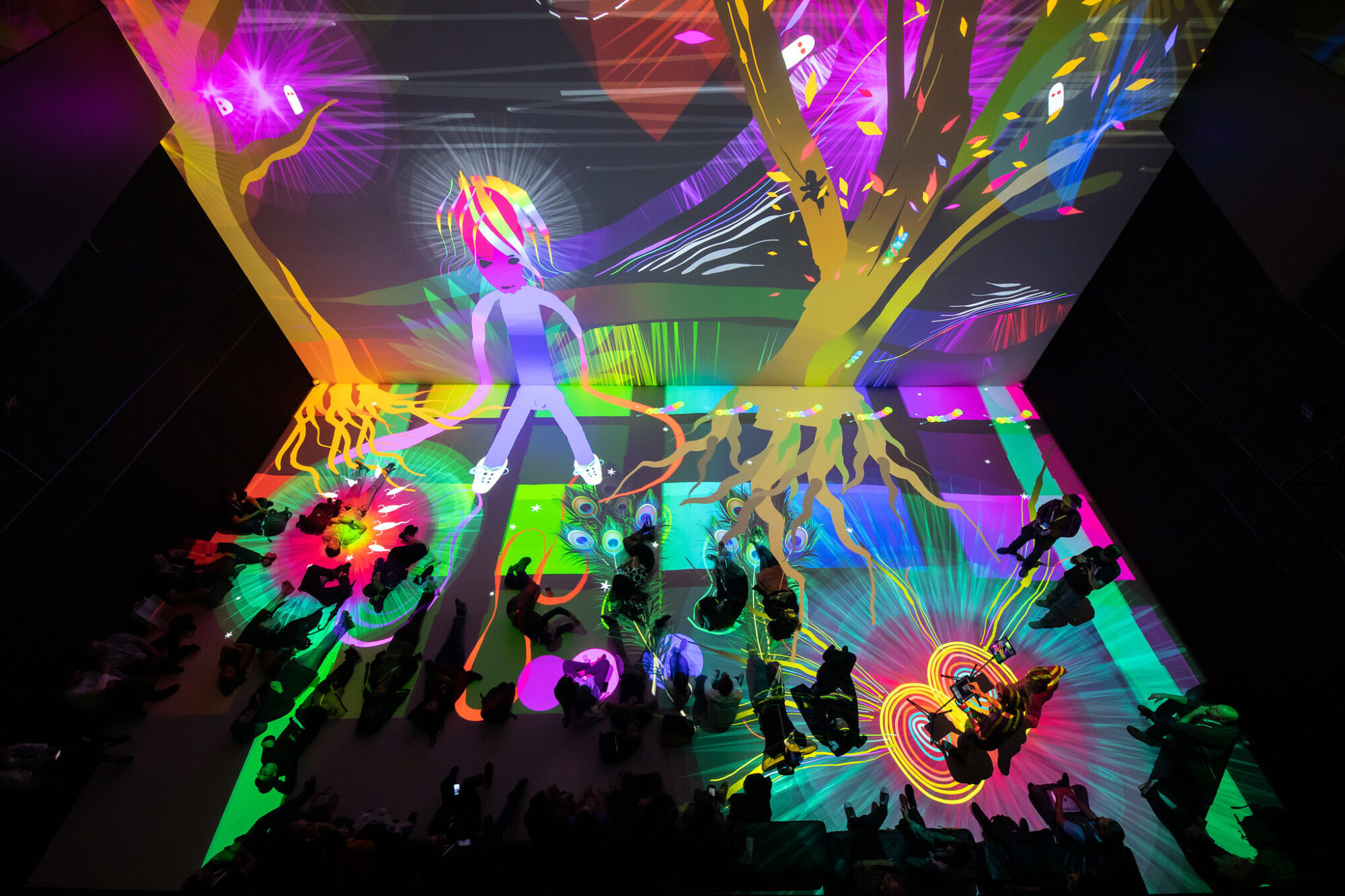 48705750432_b747375ed8_k